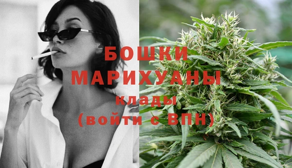 стаф Балахна