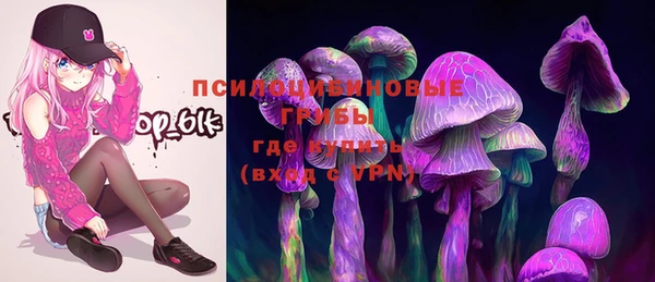 стаф Балахна