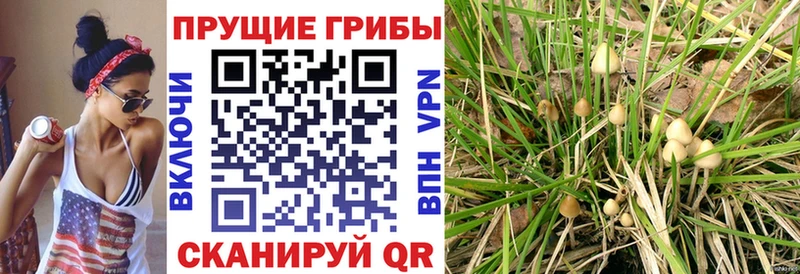Галлюциногенные грибы мицелий  где купить наркотик  darknet клад  Вуктыл 