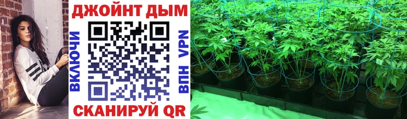 купить наркотики сайты Вуктыл Бошки марихуана индика